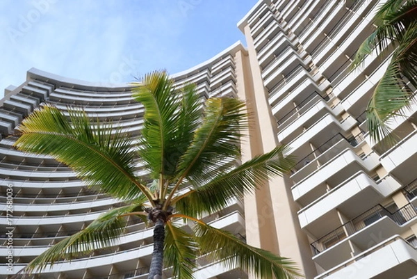 Fototapeta ホテル　ハワイ　ホノルル
