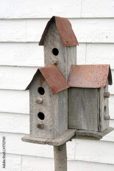 Fototapeta Birdhouse Condo