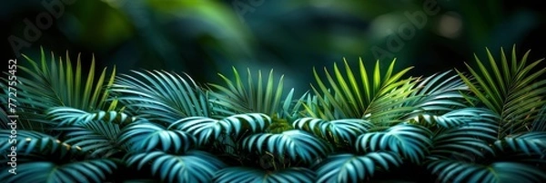 Fototapeta Abstract Background Gradient Palm Leaf Green, Background Images , Hd Wallpapers