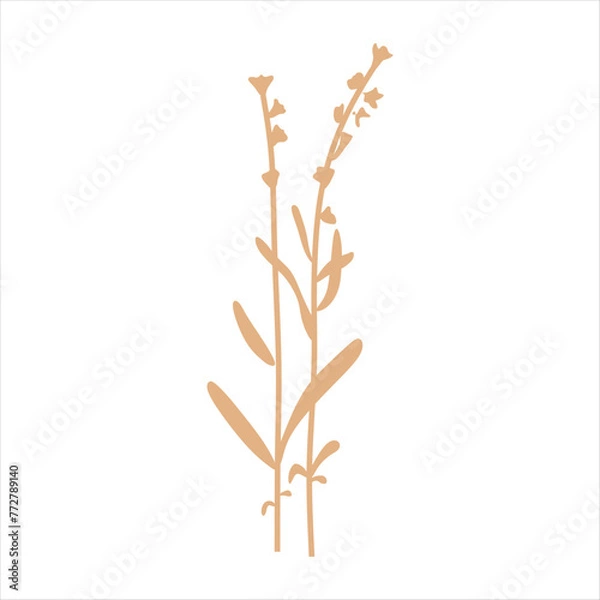 Fototapeta Beige abstract floral vector element