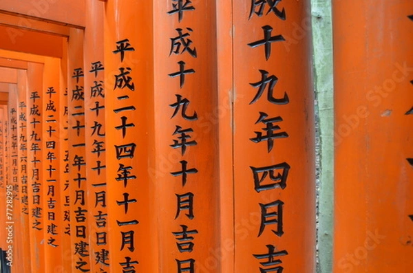 Obraz Japanese Torii Gates