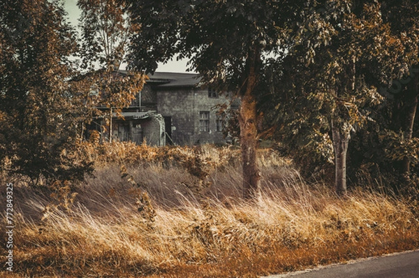 Obraz Abandoned house.