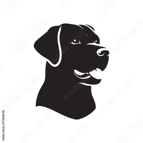 Obraz Labrador Retriever Silhouette: Loyal Canine Profile in Vector Art- Labrador Retriever black vector stock