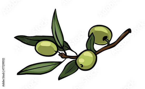 Obraz Vector olives