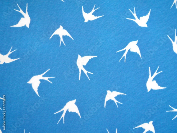 Obraz 鳥と青空の背景