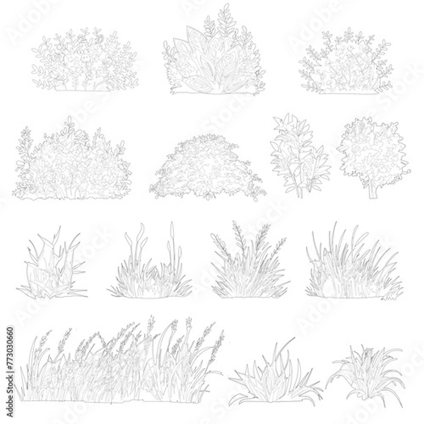 Fototapeta cad vegetation, linear illustrations