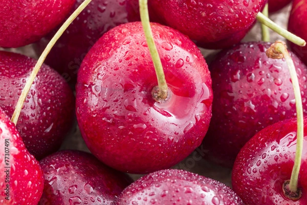 Obraz Heart shaped cherry isolated on white background