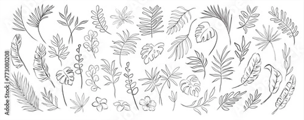 Fototapeta set of modern hand drawn tropical monstera eucalyptus banana exotic palm leaves branches and flowers silhouette on white background Botanical vector isolated trendy greenery illustratrations
