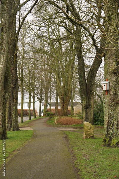 Fototapeta Photo of landscape of Munkbrarup village, spring landscape, northern Germany, Schleswig-Holstein
