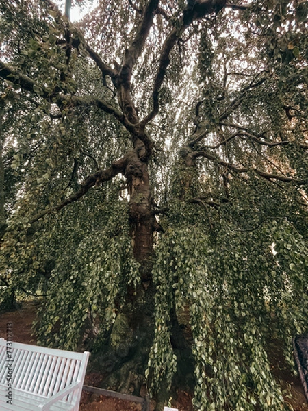 Fototapeta Photo of landscape and architecture of Schwerin Castle in Schwerin, northern Germany, Mecklenburg-Vorpommern