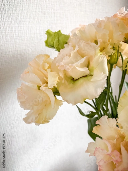 Fototapeta Photo of a delicate bouquet of white Eustoma flowers in vase on a white background