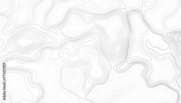 Fototapeta Topographic line pattern, map landscape background above view. Linear seamless pattern. Vector abstract line. 