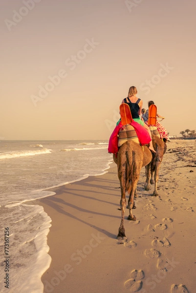 Obraz Touristes sur le dos de dromadaires près des vagues sur une plage de l'île de Djerba en Tunisie