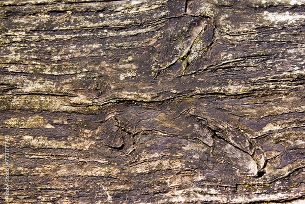 Obraz Alte verwitterte Holztextur