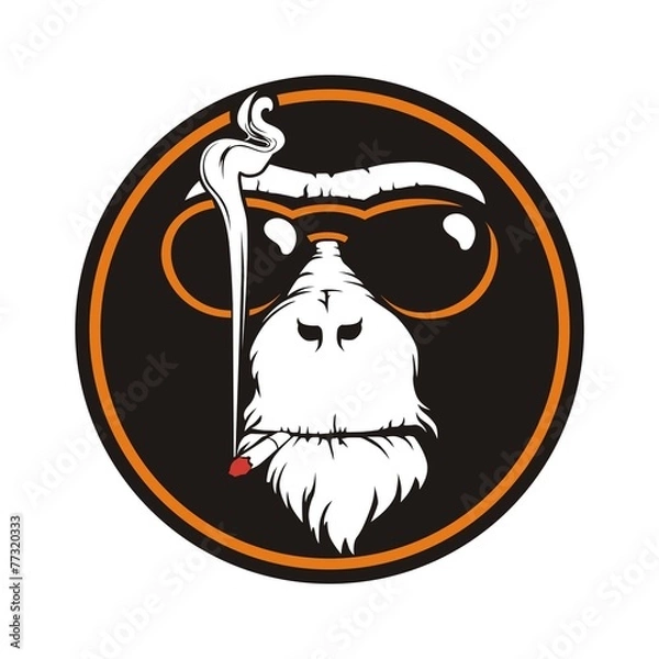 Obraz circle monkey smoke