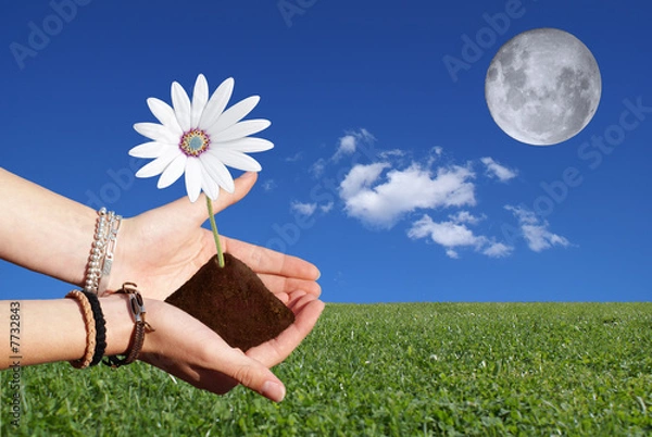 Obraz Jardiner avec la lune