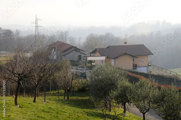 Obraz case nel verde