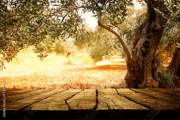 Obraz Drewniany stół z drzewem oliwnym