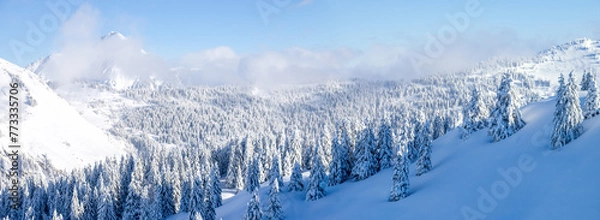 Obraz mountain trees