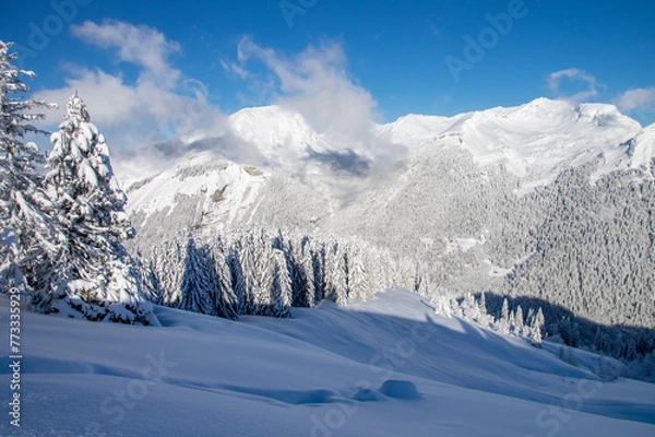 Obraz mountain trees