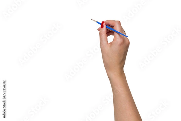 Fototapeta Hand of Artist Draw with a Brush. PNG Design Element. 