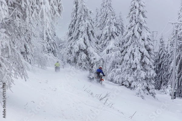 Fototapeta Deep winter