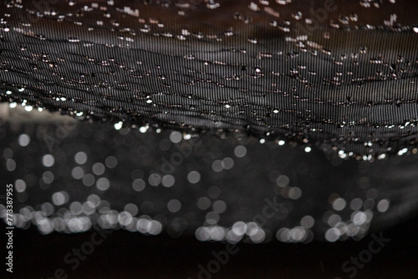Fototapeta Conceptual photography - protective screen after rainy day