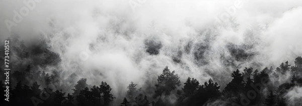 Fototapeta Clouds in the forest, banner