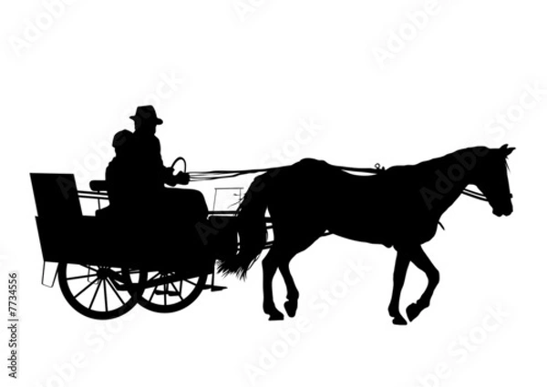 Fototapeta Horse And Carriage 4