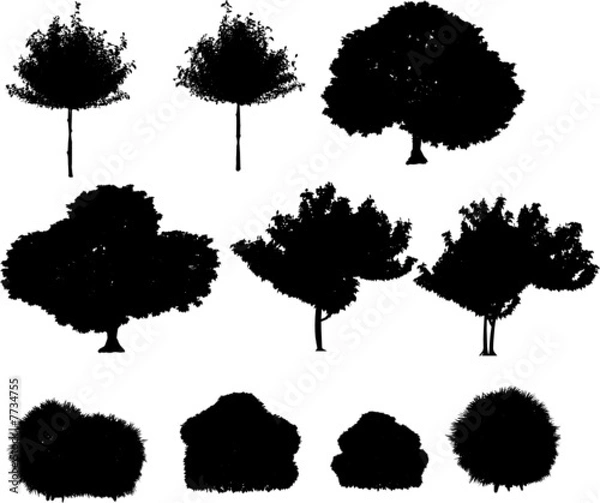 Fototapeta  vector tropical palms and trees