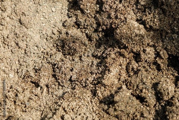 Fototapeta 濡れて崩れた砂　土砂のテクスチャー背景