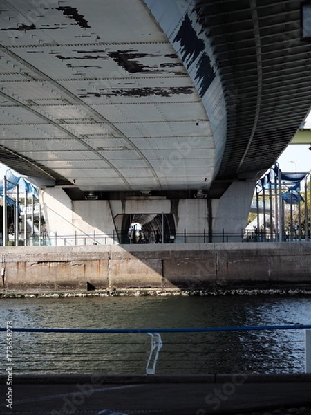 Obraz 川の上に架かる高架下