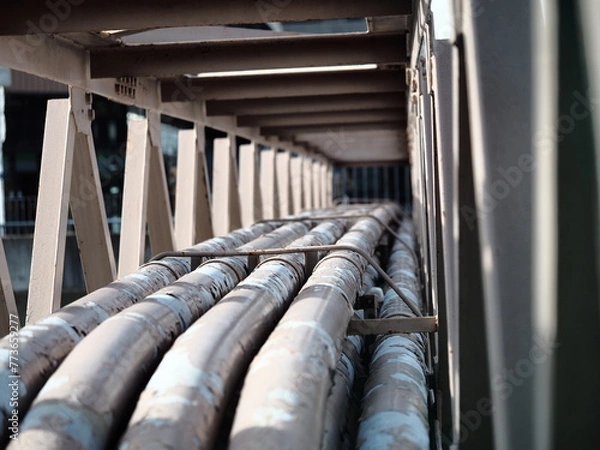 Obraz 橋の上に係る束になった送水管