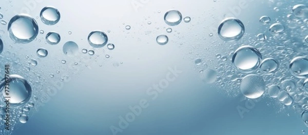 Fototapeta Small, transparent water droplets bead up on the smooth surface, reflecting light in a captivating display