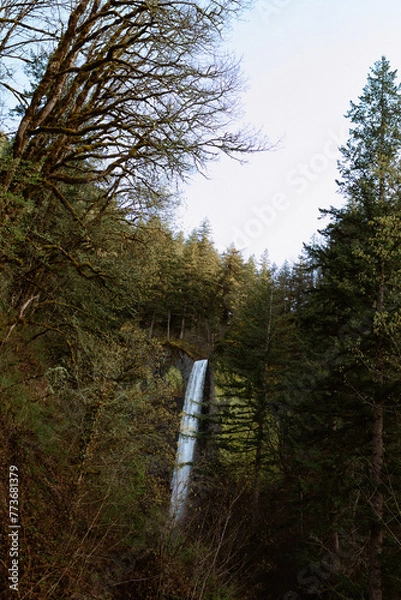Obraz Oregon Waterfall 