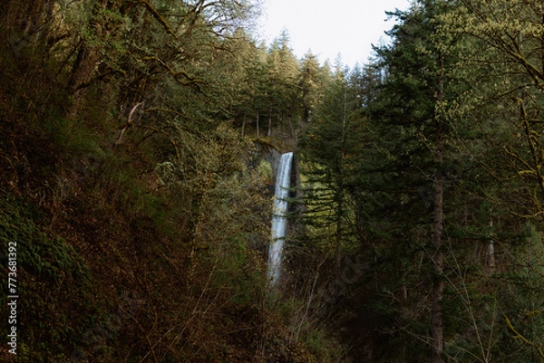 Obraz Oregon Waterfall 