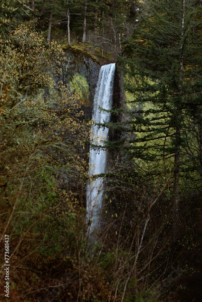 Obraz Oregon Waterfall 