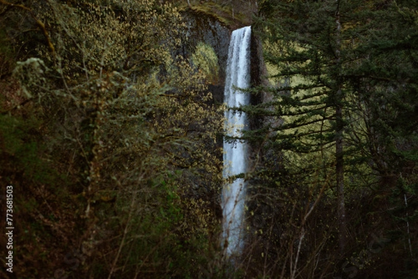 Obraz Oregon Waterfall 