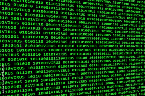 Obraz virus informatique