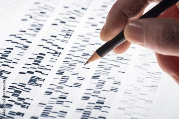 Fototapeta Ocena żelu DNA