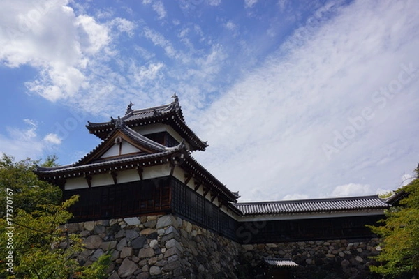 Fototapeta 郡山城