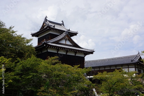 Fototapeta 郡山城