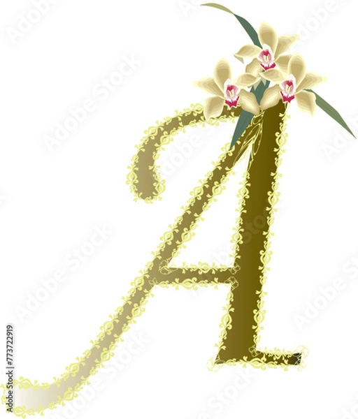 Obraz flowers on a white