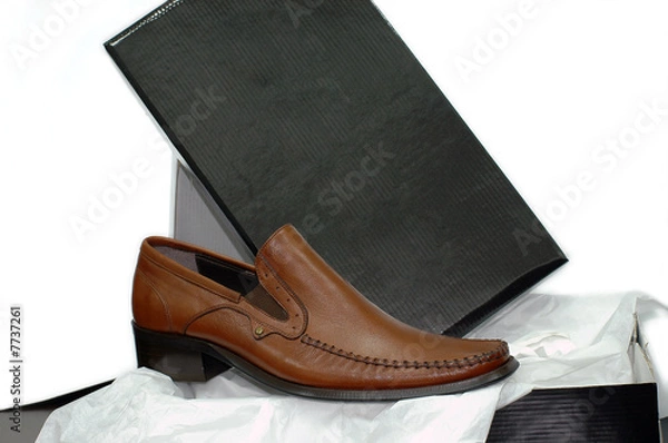 Obraz Shoe and the box