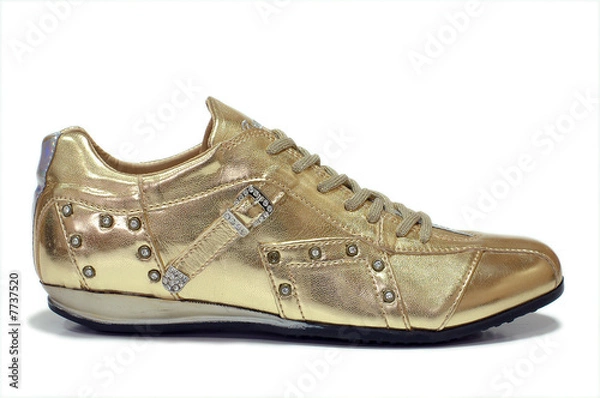 Obraz Fancy shoe