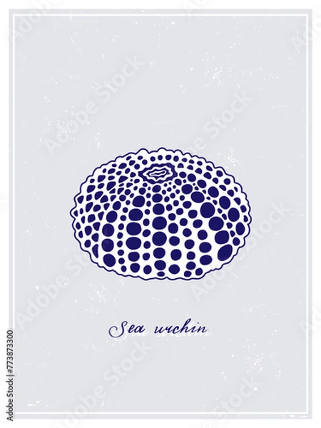 Fototapeta White Sea Urchin with blue spots. Vintage style poster. Hand drawn graphic design collection. Vector illustration on a colorful background.