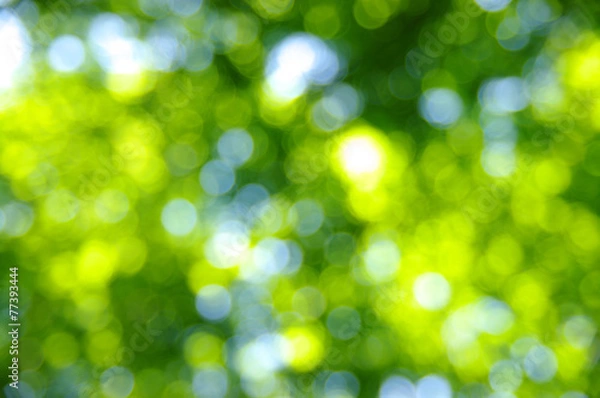 Obraz abstract light background