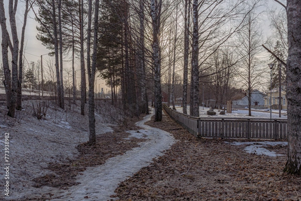 Fototapeta Landscape. Spring forest. A forest path. Most of the snow has already melted