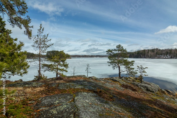 Obraz Ice and snow covered lake in early spring. Saimaa Lake in Lappeenranta, Finland