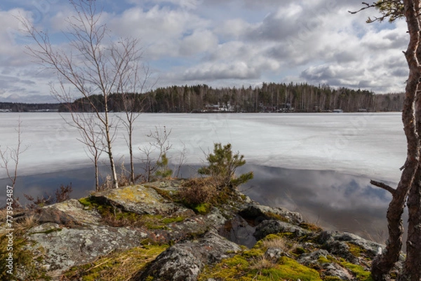 Obraz Ice and snow covered lake in early spring. Saimaa Lake in Lappeenranta, Finland